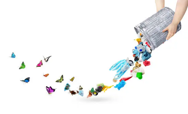 Starting Fresh After Divorce: A Compassionate Cleanout Guide